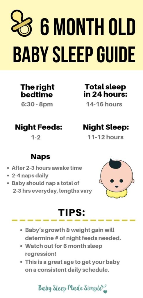 6 month old daily schedule